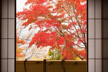 Hoshino Resorts Kai Nikkó Kültér fotó